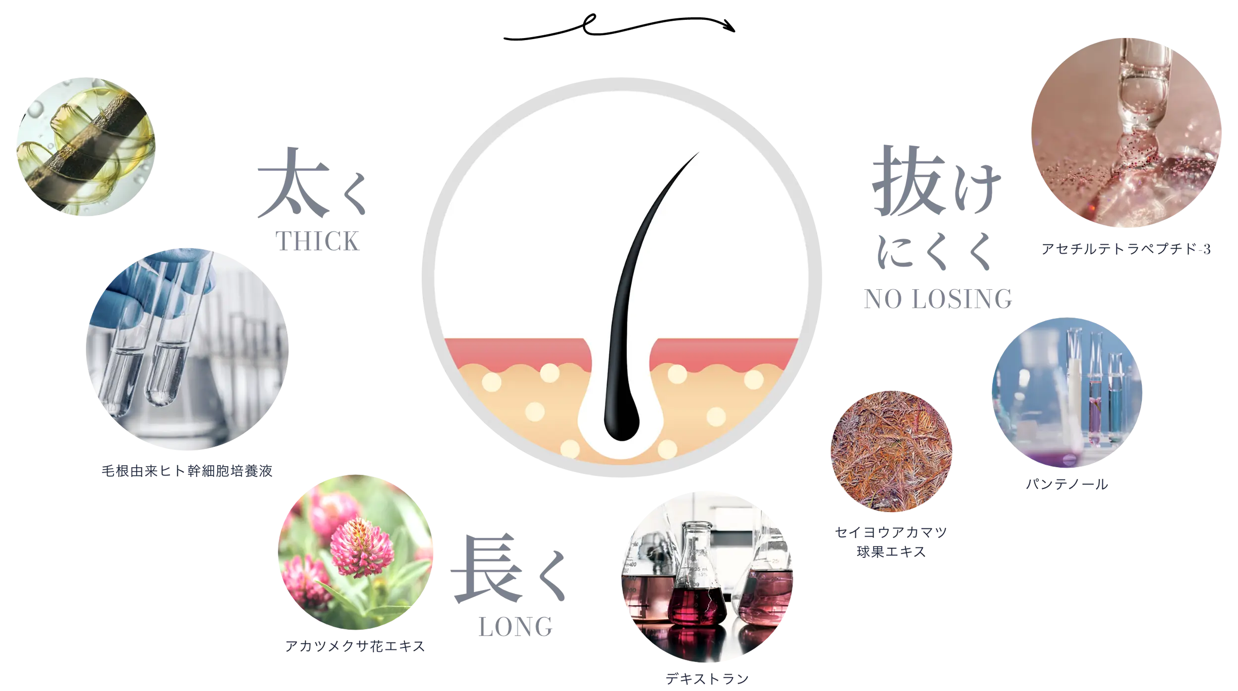 太く長く抜けにくく