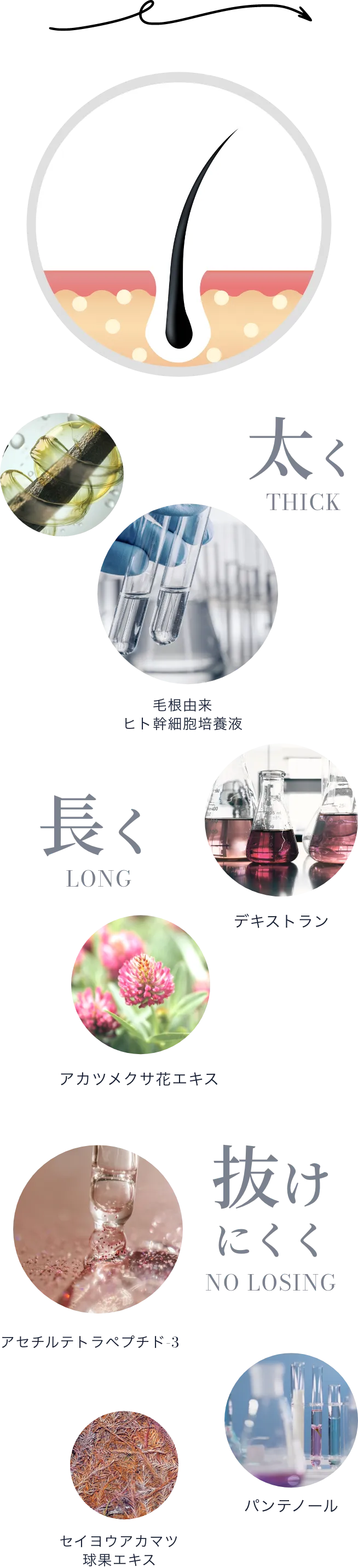 太く長く抜けにくく
